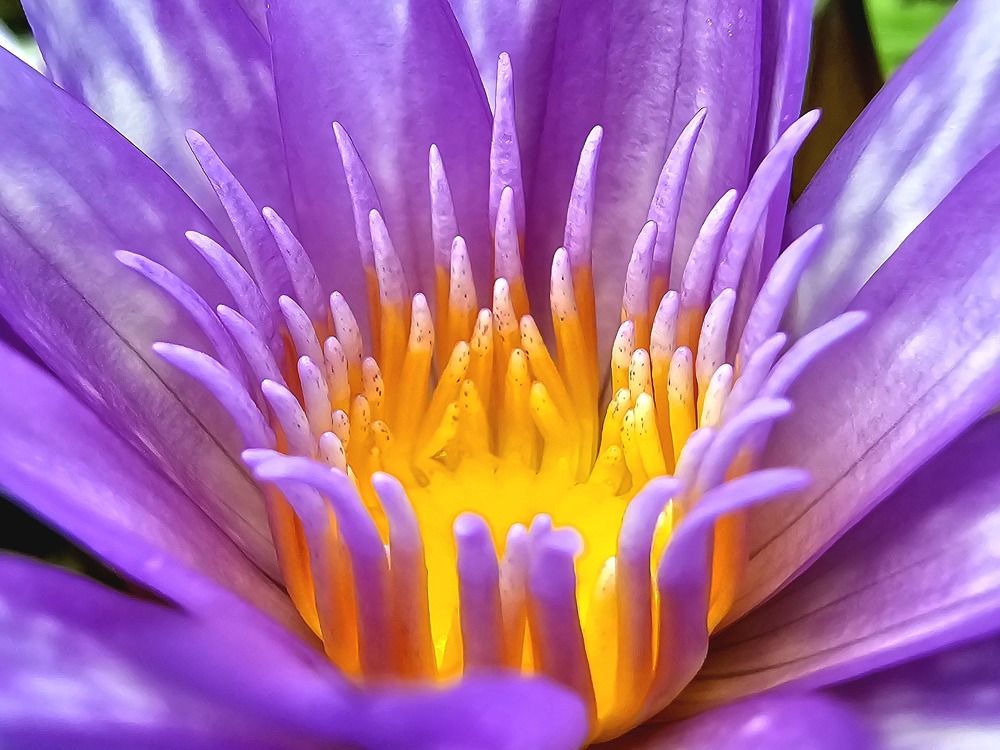 Photograph by Анна Семенова