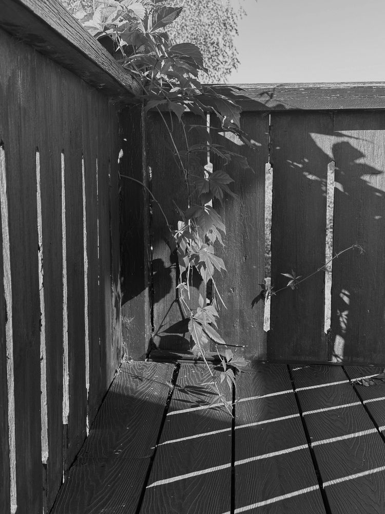 Photograph by Kuzmichev Alexey