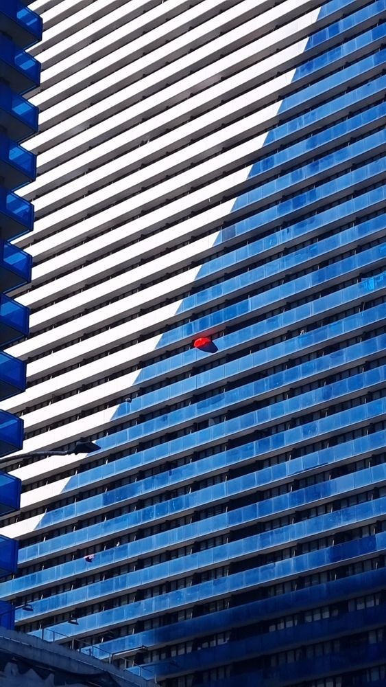 Photograph by Viktoriia Shylling