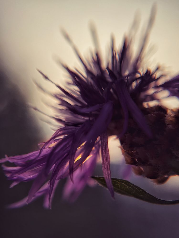 Photograph by Оксана Корепанова