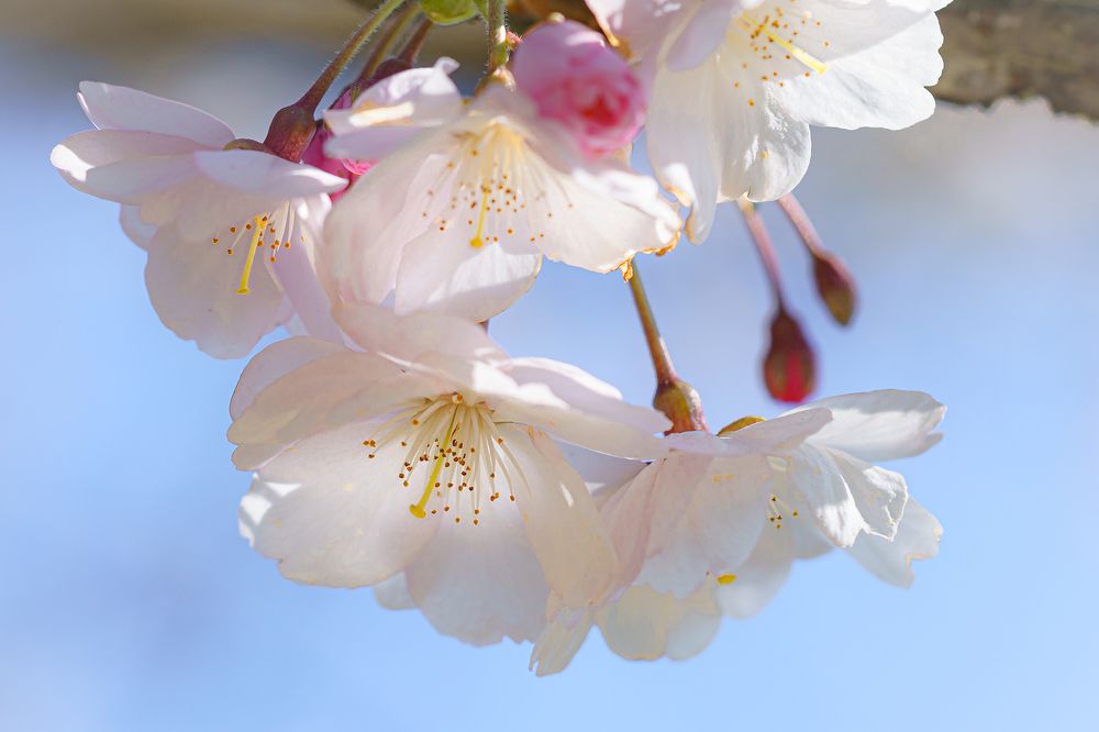 Photograph by Valdis Serzhans