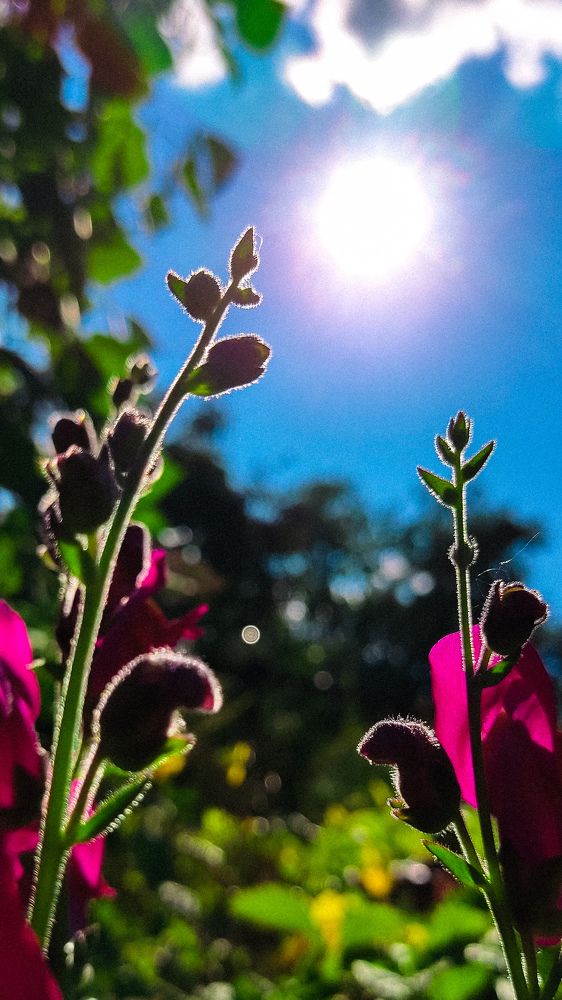 Photograph by Евгения