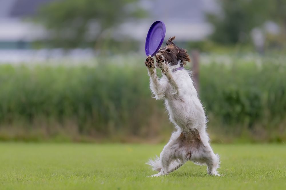 Photograph by eric tkindt