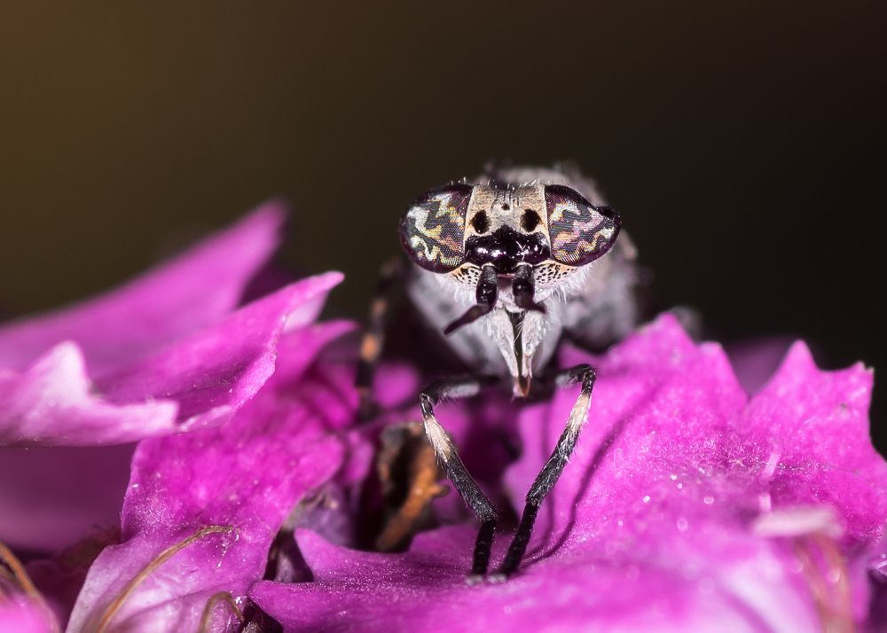 Photograph by Victor Stepanov