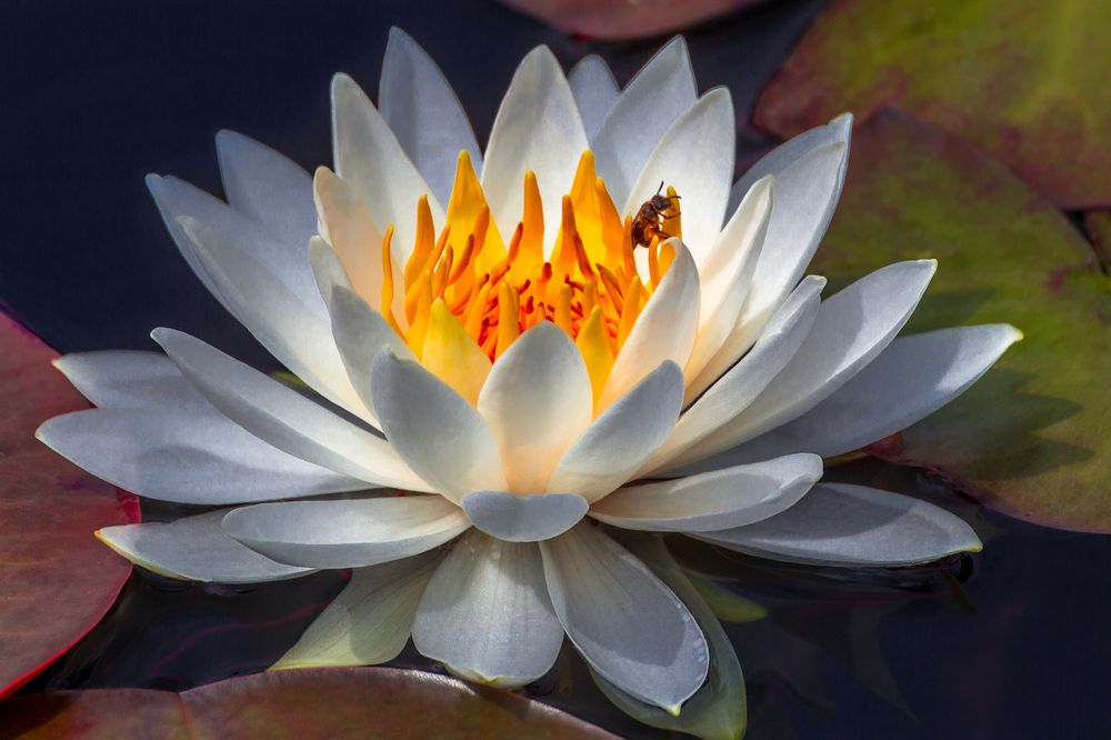 Photograph by Сергей Алексеев