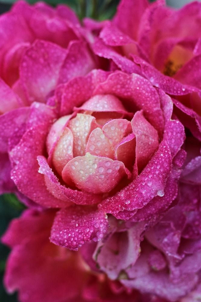 Photograph by Мария Мельникова