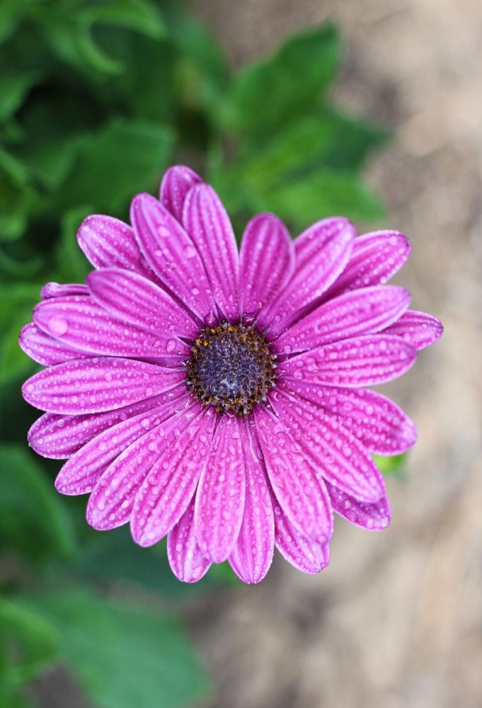 Photograph by Мария Мельникова