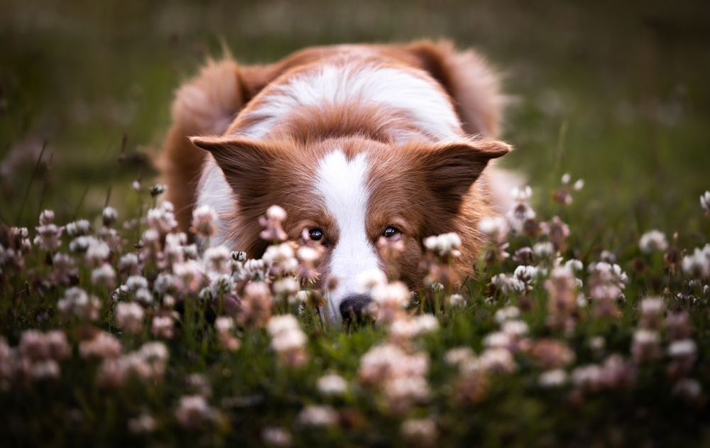 Photograph by Shanna van Mens