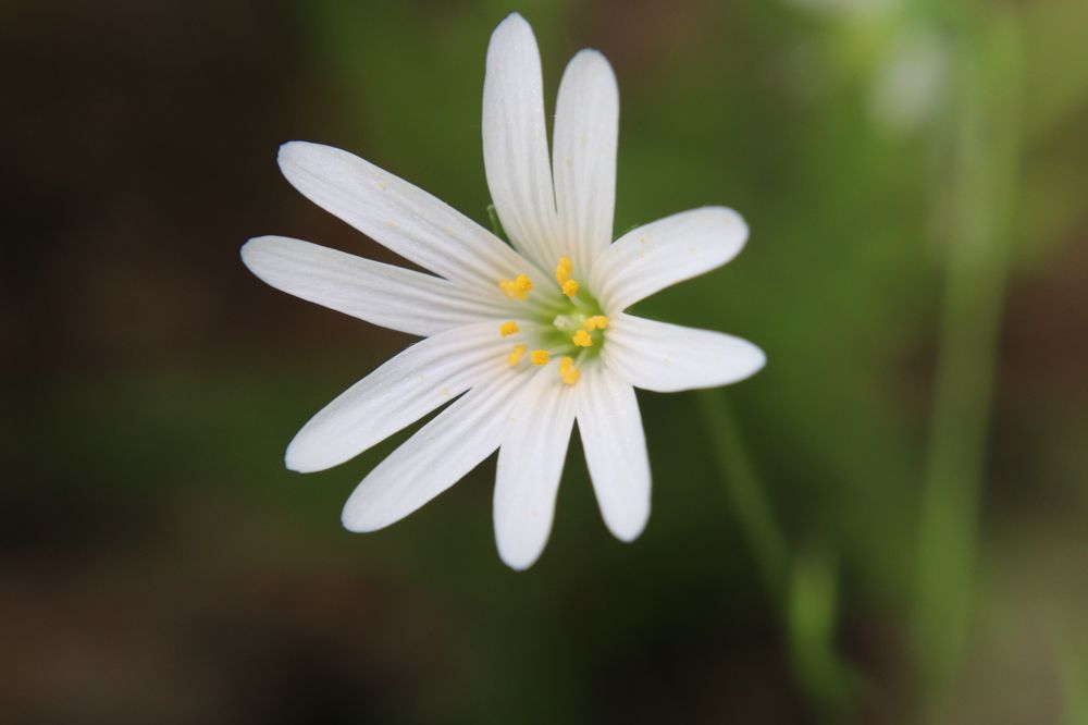 Фотография автора Анастасия Богдан