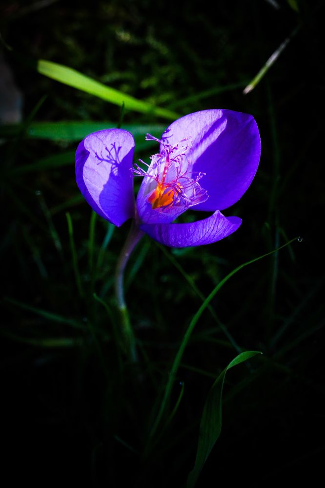 Photograph by Anca Uifalean