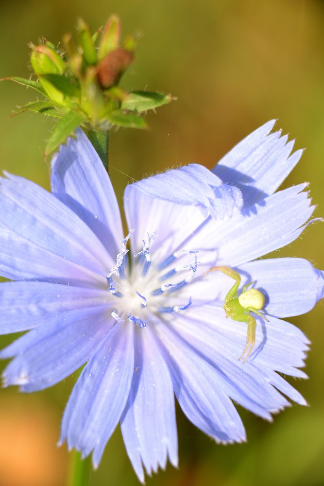 Photograph by Эмилия Ляпунова