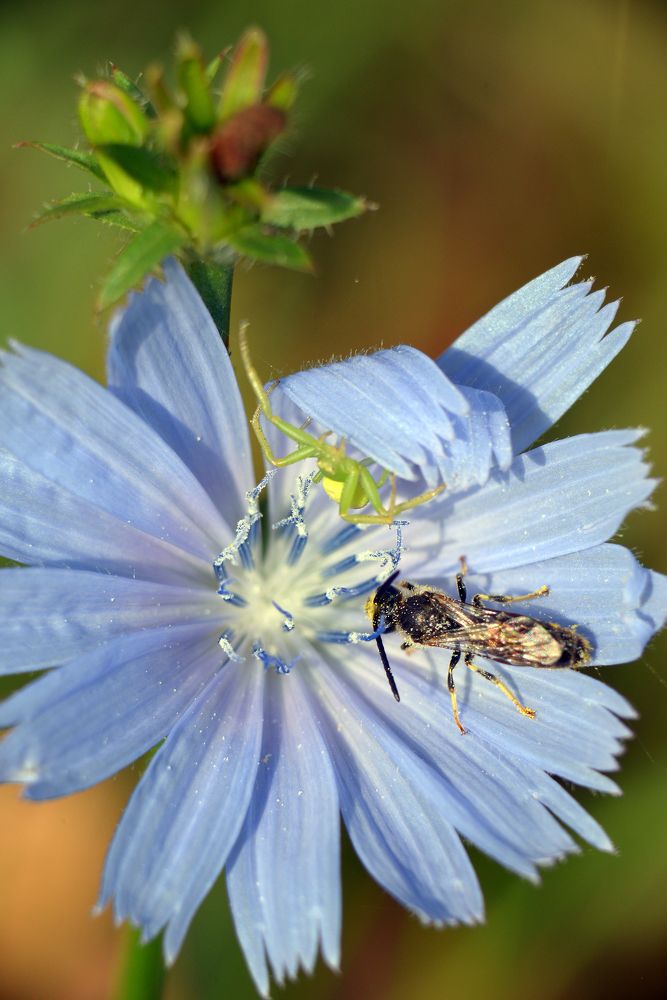 Photograph by Эмилия Ляпунова