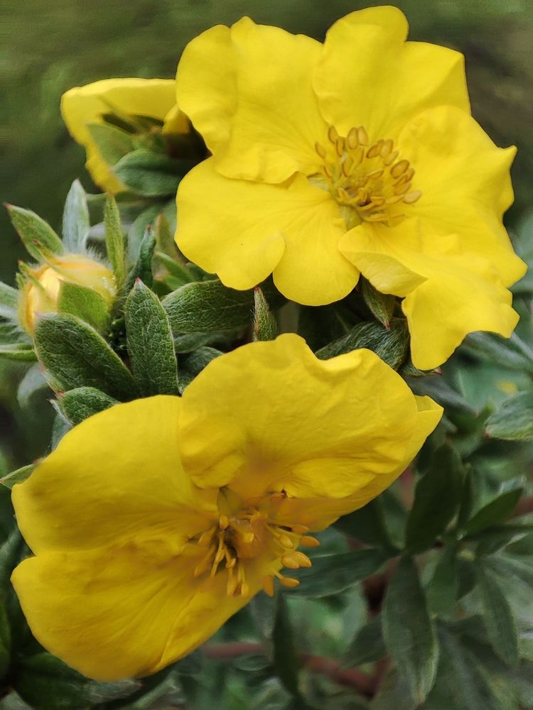 Photograph by Светлана Батурова