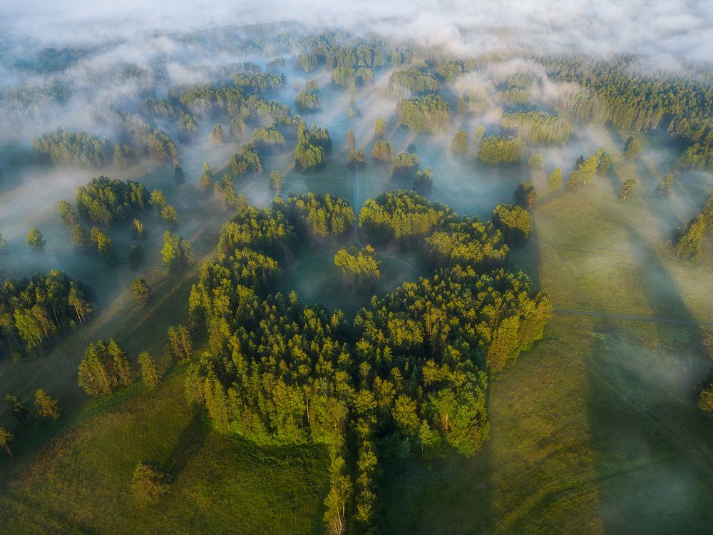 Фотография автора Alexander Pashenichev