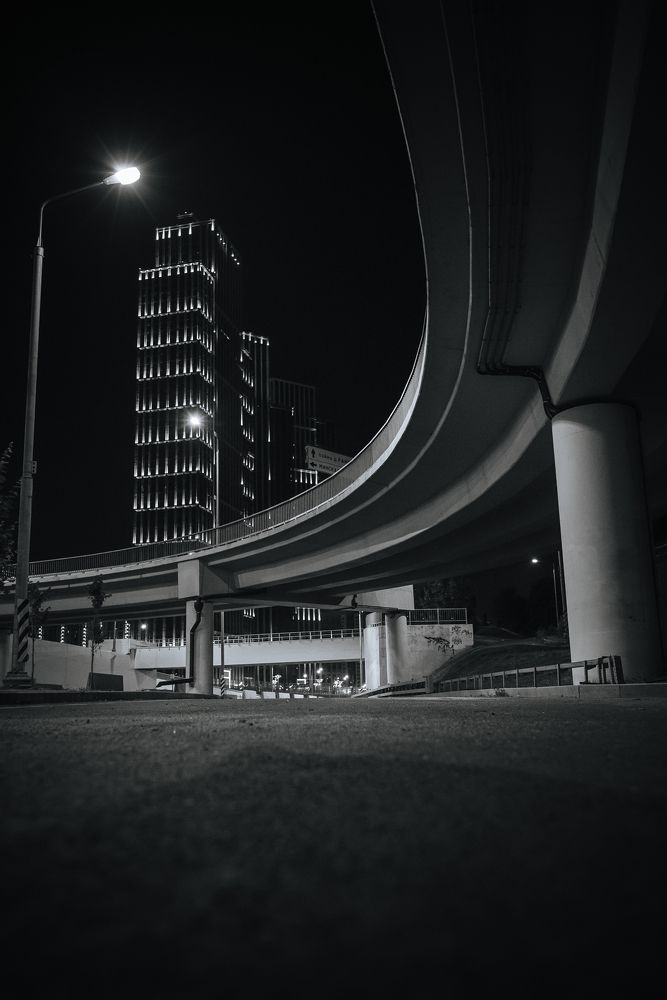 Фотография автора Карина Шарова