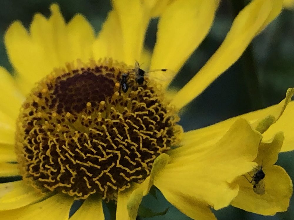 Photograph by Анастасия Давиденко