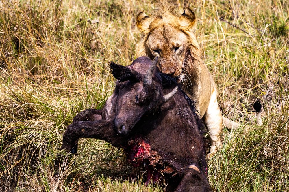 Photograph by Adrian Grigore