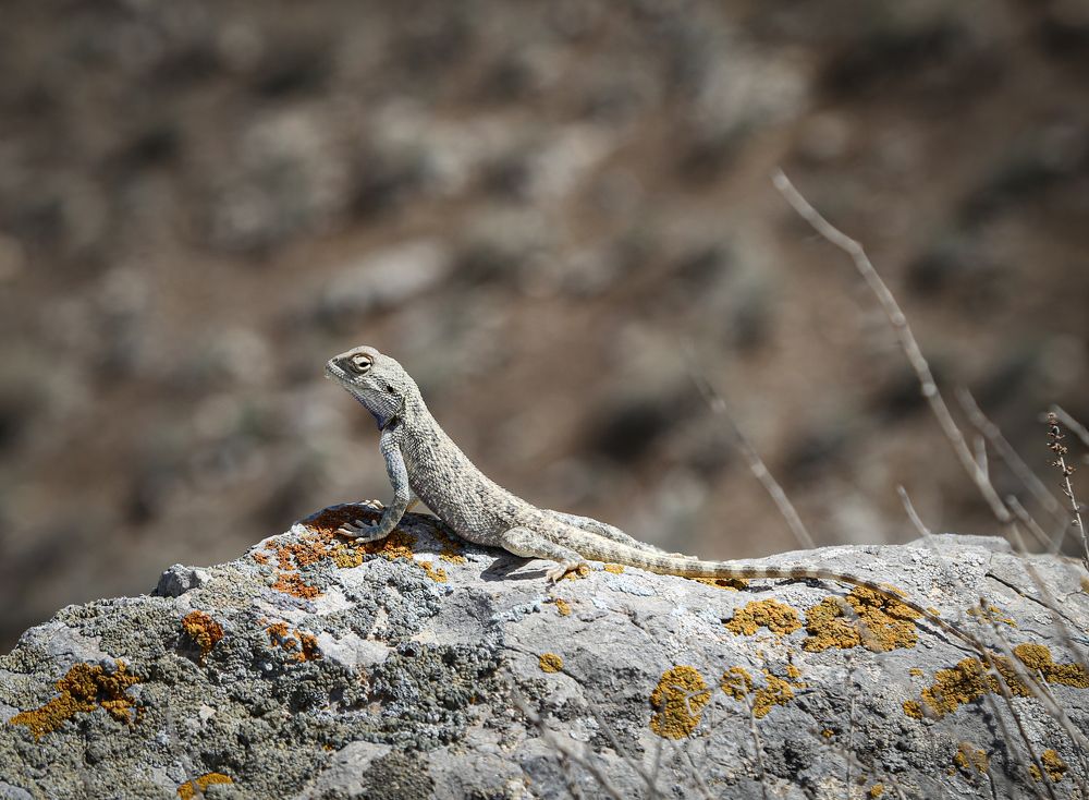 Photograph by Ылхам Онбегиева