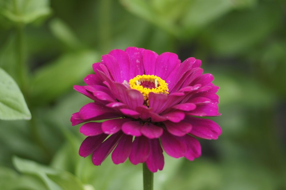 Photograph by Станислав Мироненко