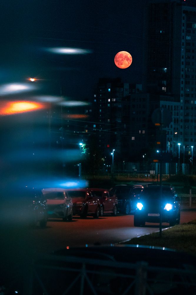 Фотография автора Сизова Татьяна