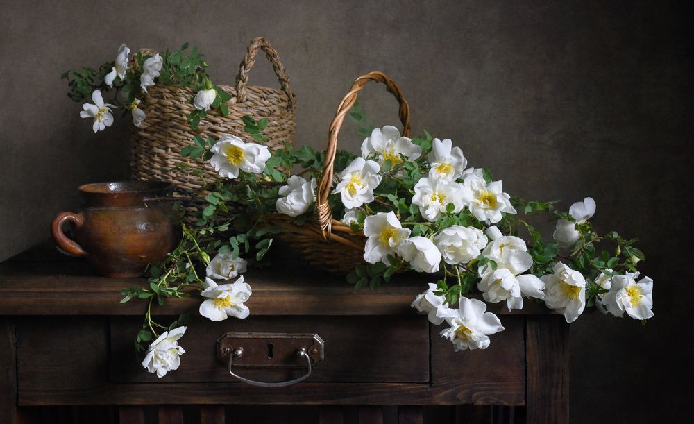 Фотография автора Осипкин Алексей