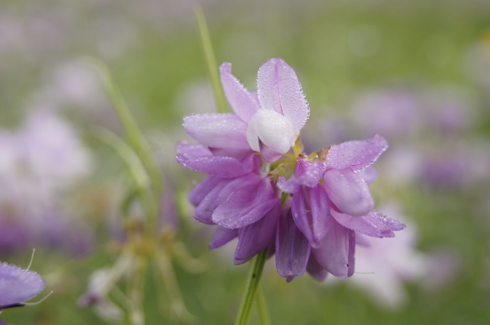 Photograph by Станислав Мироненко