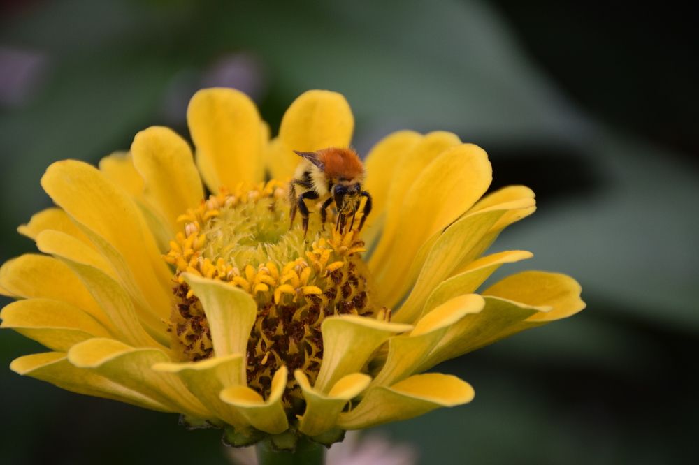 Photograph by Рамиль