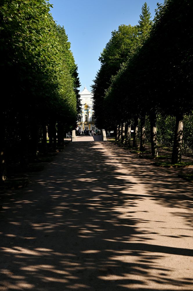 Photograph by Ольга Михайлова