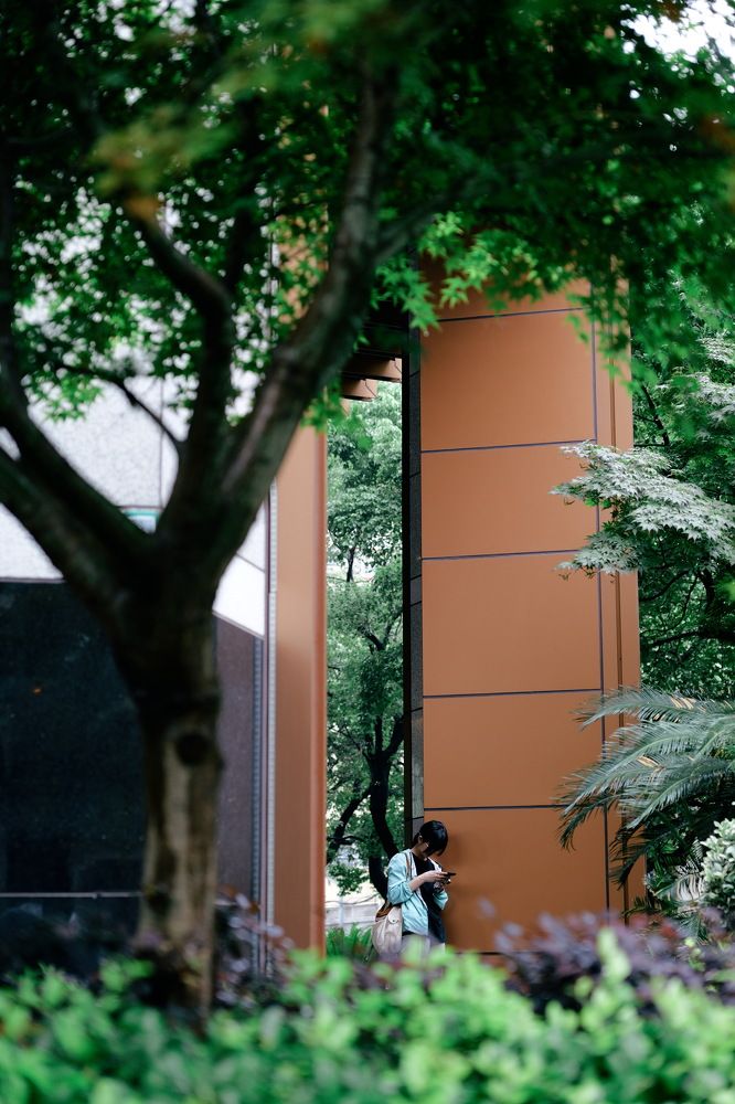 Photo #10981142