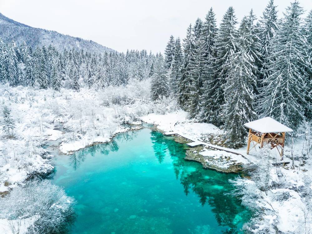 Photograph by Василий Яковлев