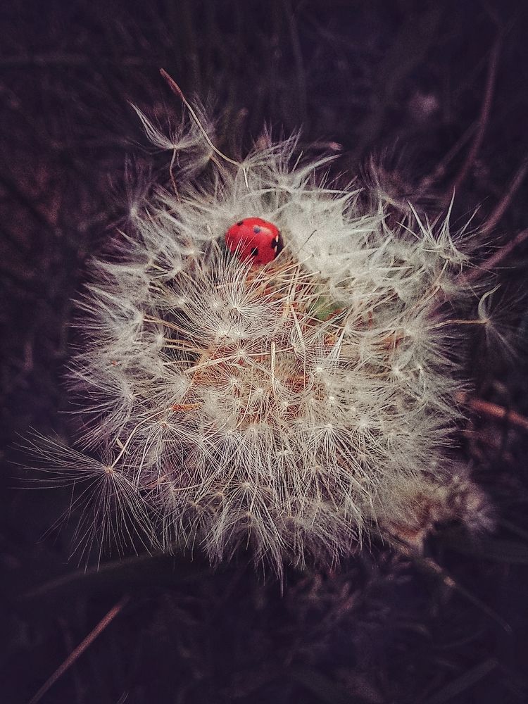 Photograph by Ksenia Paramonova