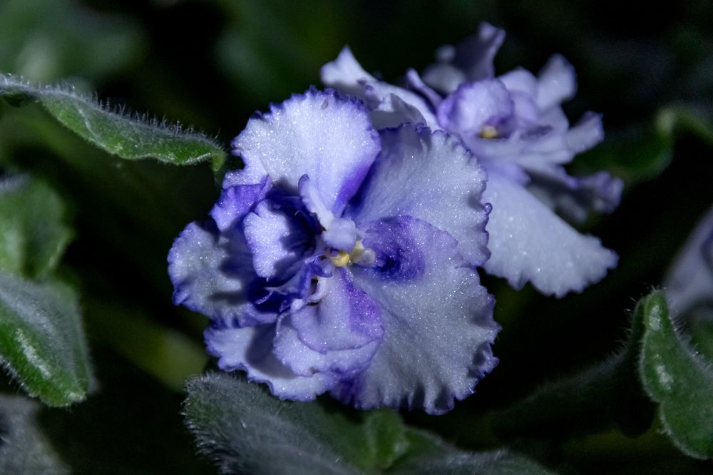 Photograph by Ольга Михайлова