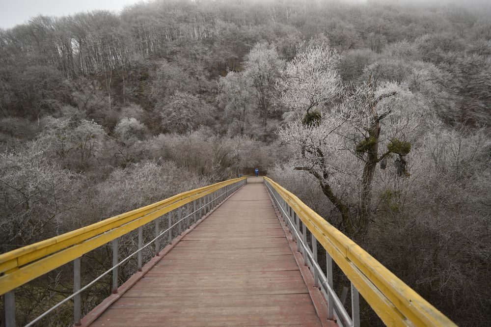 Фотография автора Шипунова Ирина