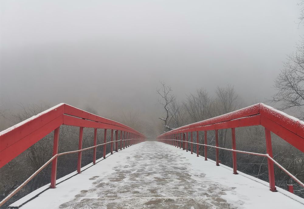 Фотография автора Шипунова Ирина