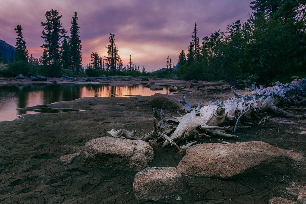 Фотография автора Анна Рыжкова
