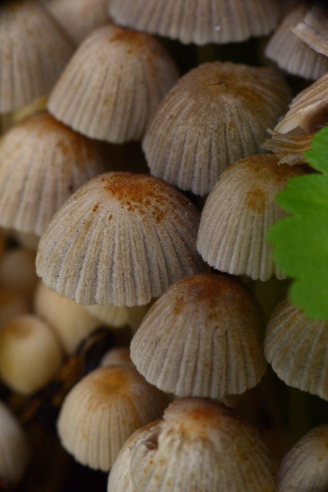 Photograph by Эмилия Ляпунова