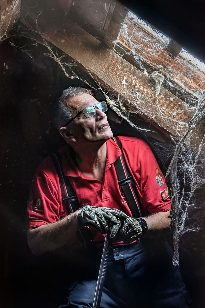 Portrait at the skylight II.