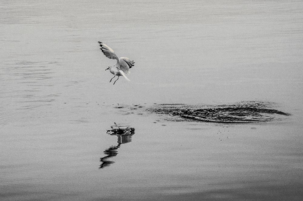 Photograph by Марина Канавченко