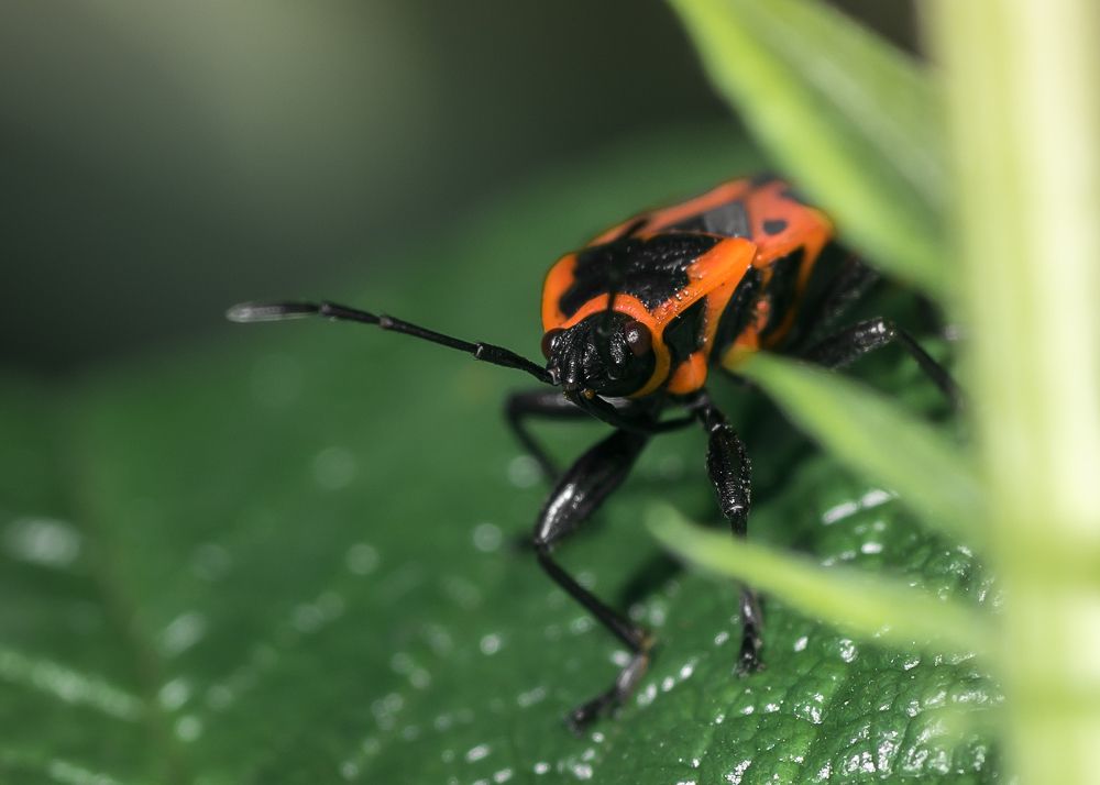 Photograph by Victor Stepanov