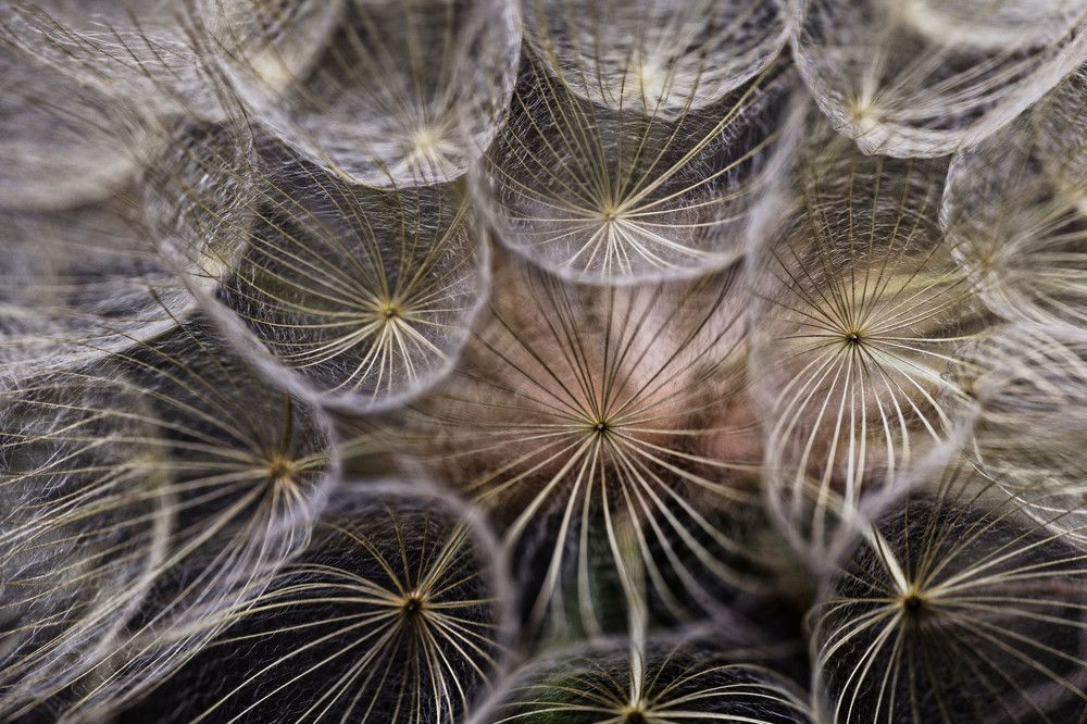 Photograph by David Solodar