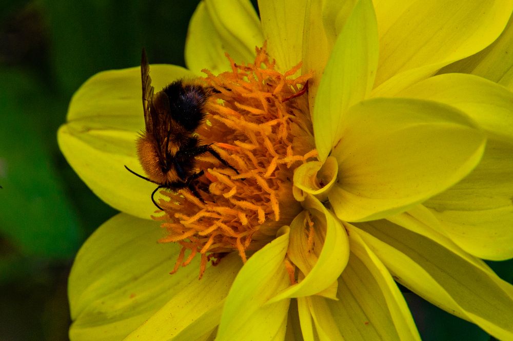 Photograph by Евгений Авдеев