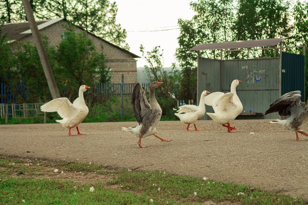 Photograph by Elena Dementova