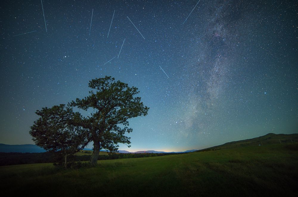 Photograph by Saba Gloveli