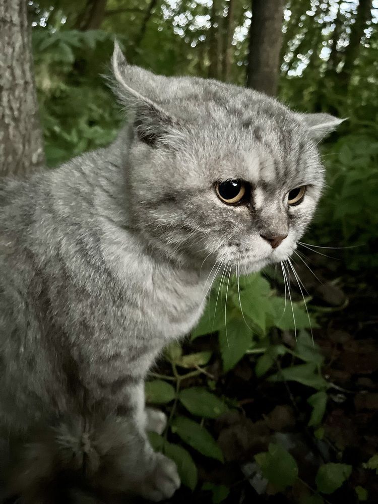 Photograph by Ирина Селиверстова