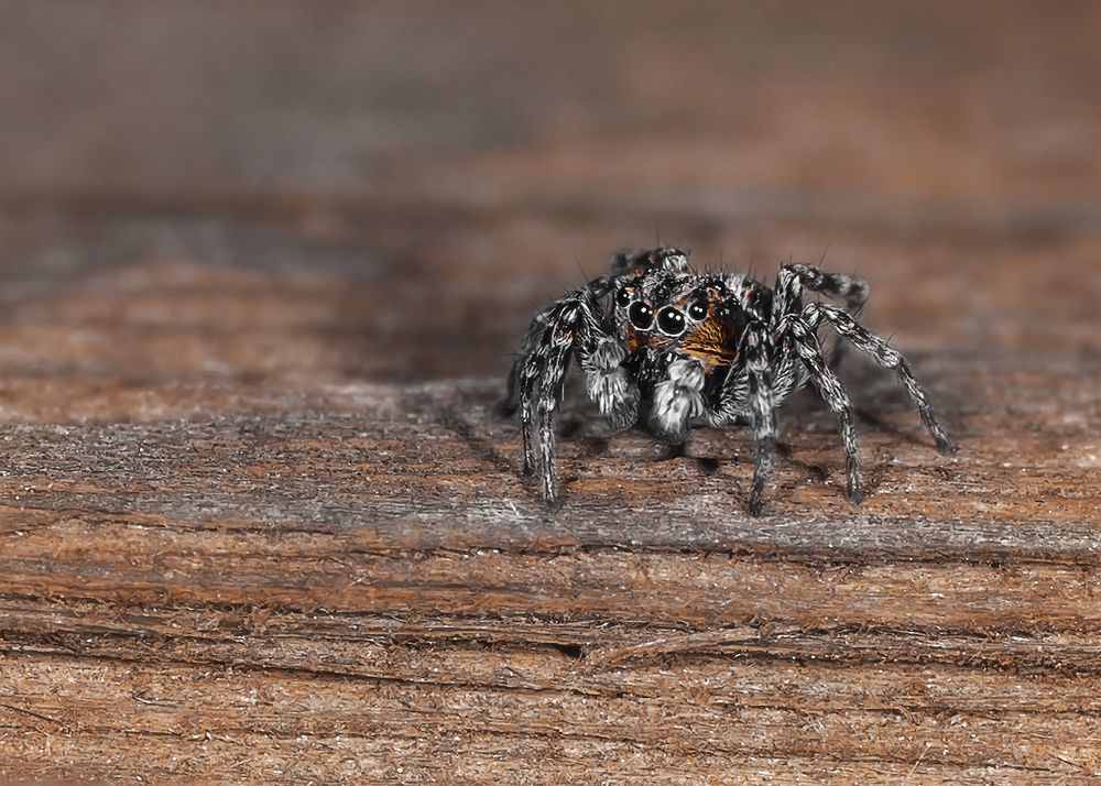 Photograph by Victor Stepanov