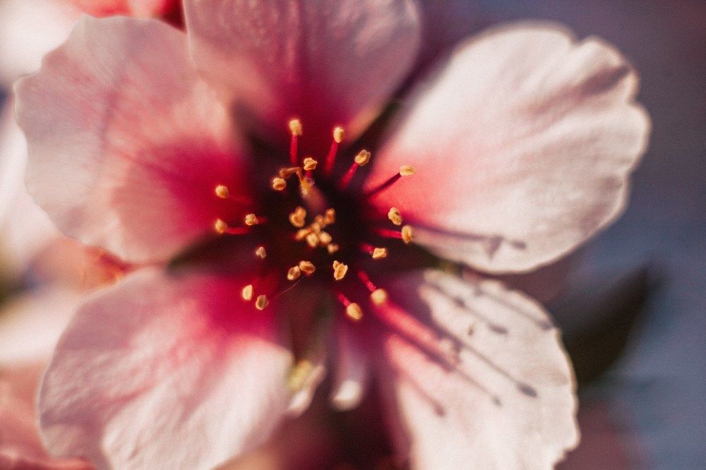 Фотография автора Наталья Вербина