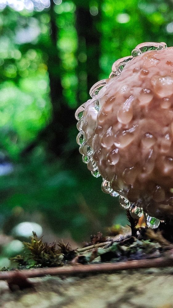 Photograph by Евгения Гродинская