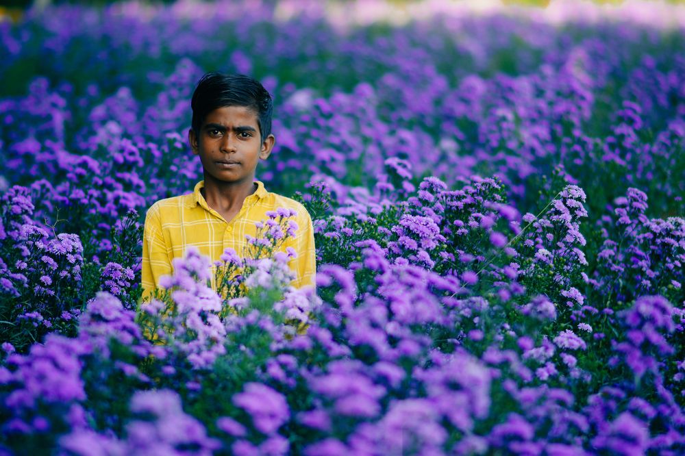 Photograph by Nivedh A M