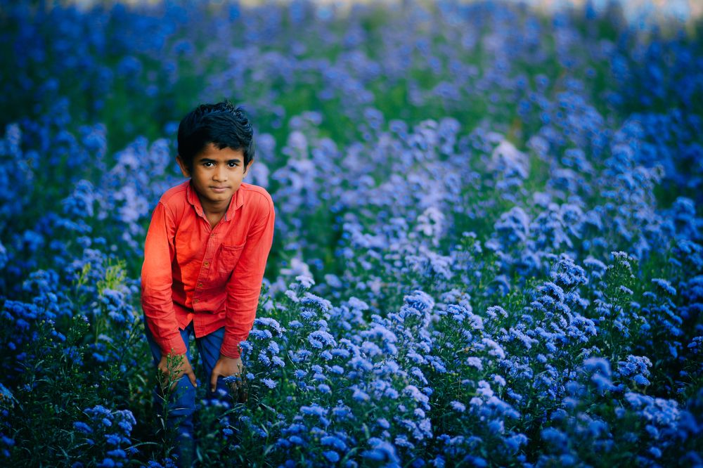 Photograph by Nivedh A M