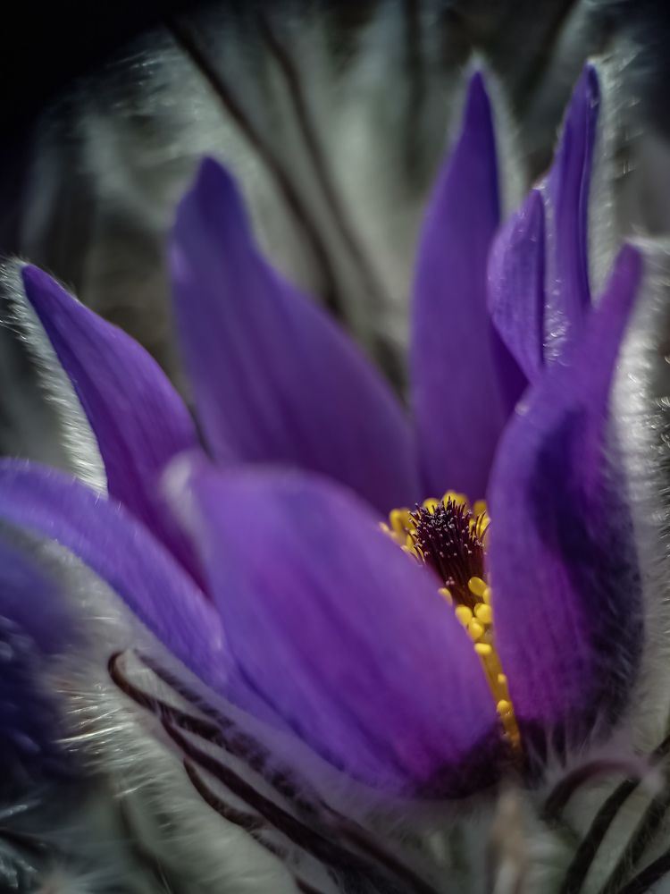 Photograph by Лариса Когтева